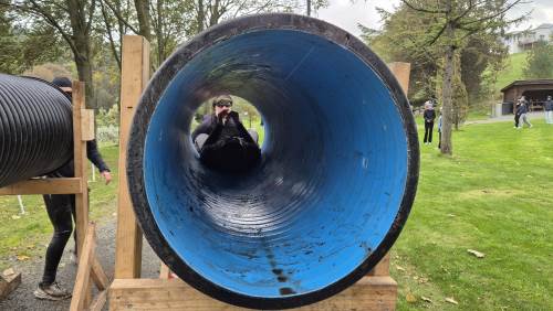 Viktig med samarbeid her og.